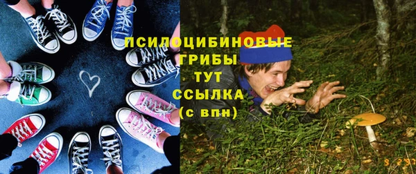 apvp Армянск