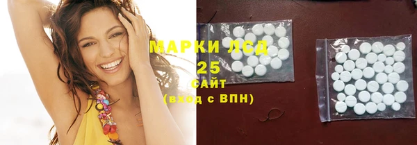 гашик Аркадак