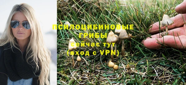 apvp Армянск