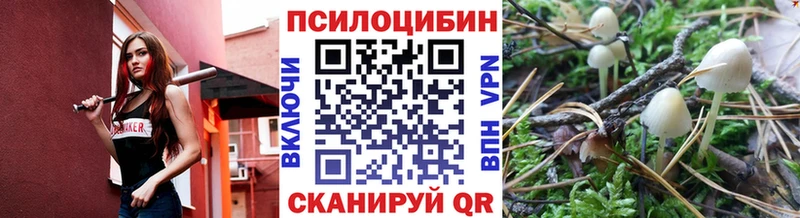 Галлюциногенные грибы MAGIC MUSHROOMS как найти darknet какой сайт Темрюк